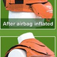 Illustration for article titled Horse Airbags